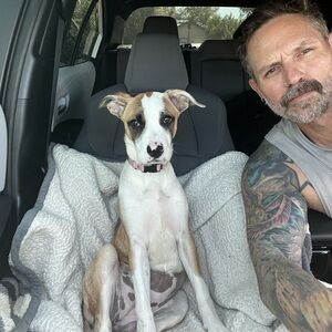 Meet your Posher, Brian